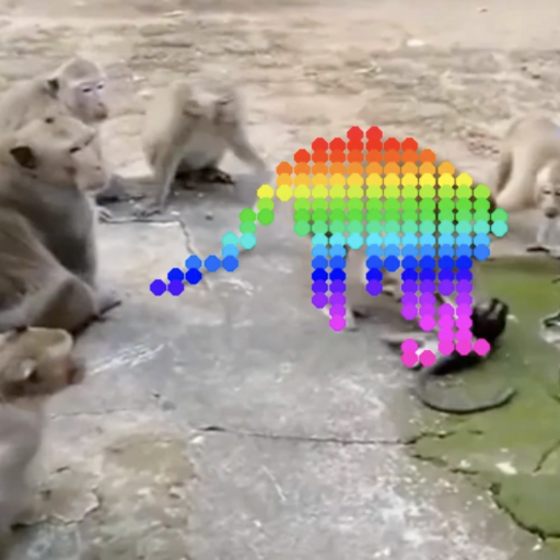 DiTracker: Repurposing Video Diffusion Transformers for Robust Point Tracking.